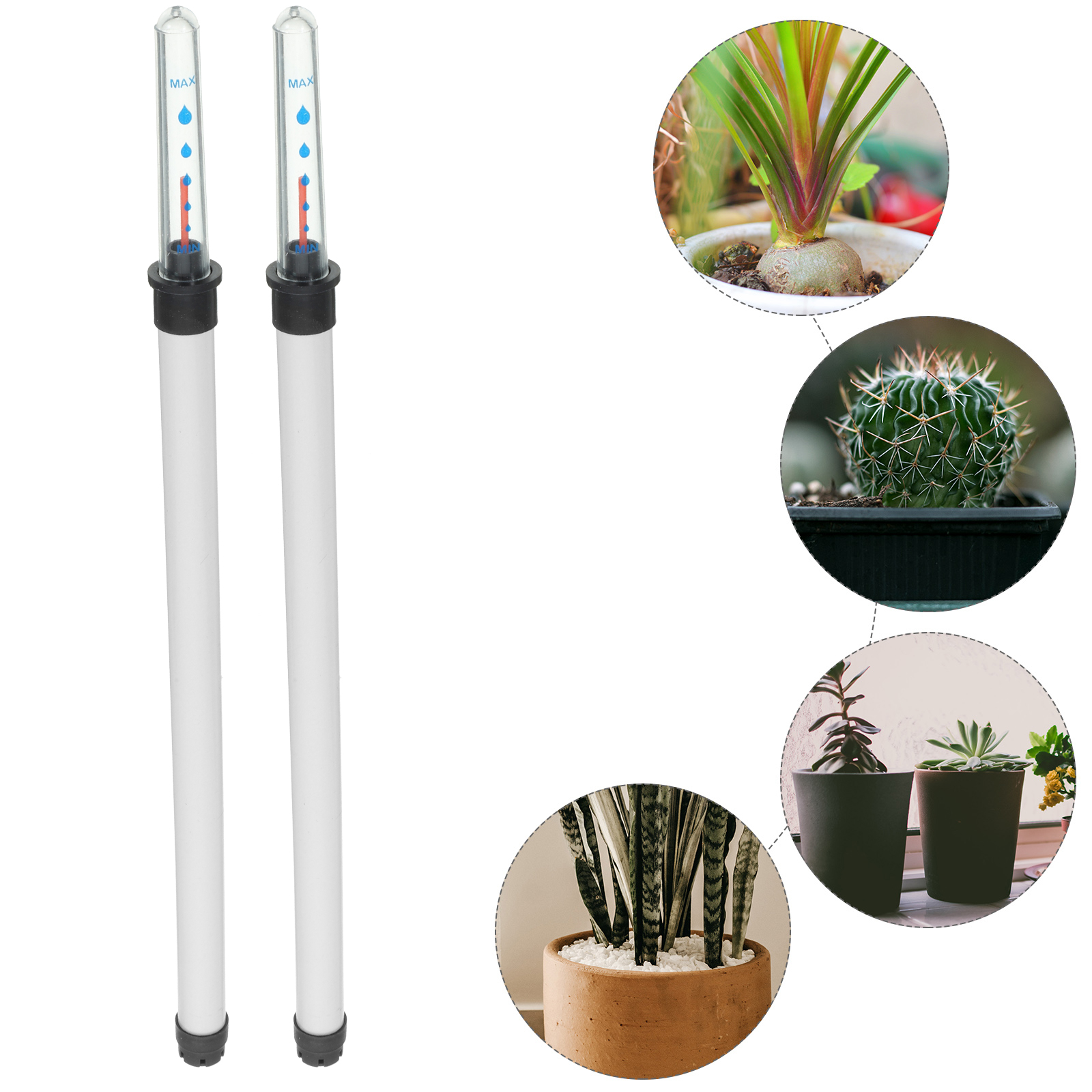 Desk Setup Plant - 2pcs Plants Water Level Indicator Meter