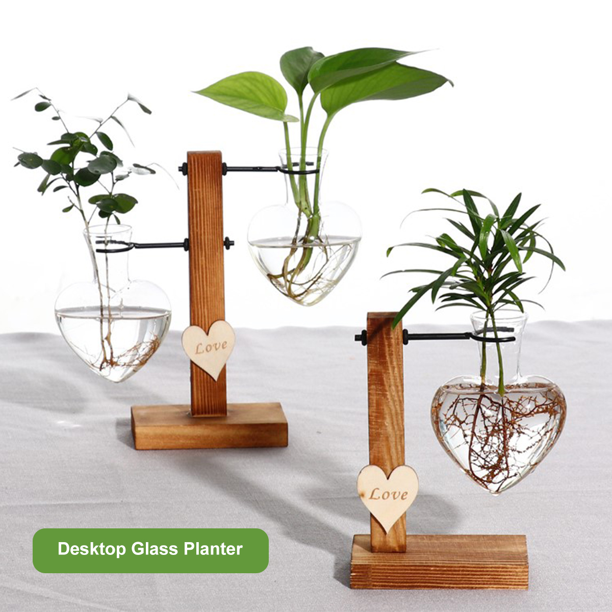 Desk Setup Plant - Glass Plant Vase with Wooden Support