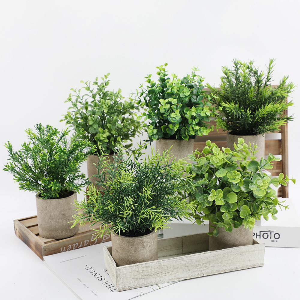 Artificial Plant Potted Eucaly - Desk Setup Plant 리뷰 및 가격