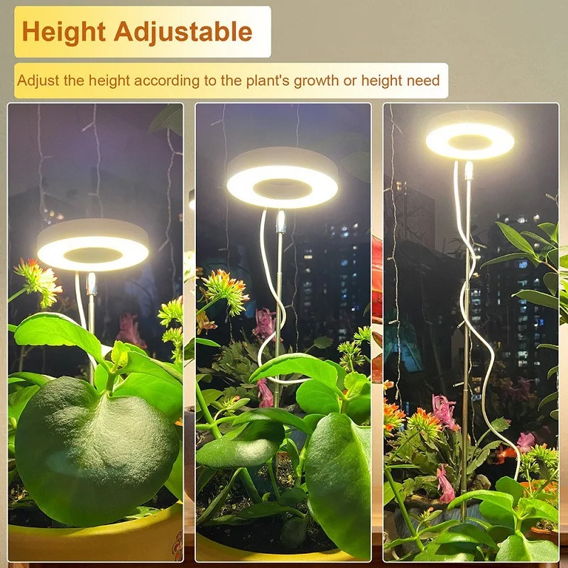 1/2/3 Rings Full Spectrum Plan - Desk Setup Plant 리뷰 및 가격