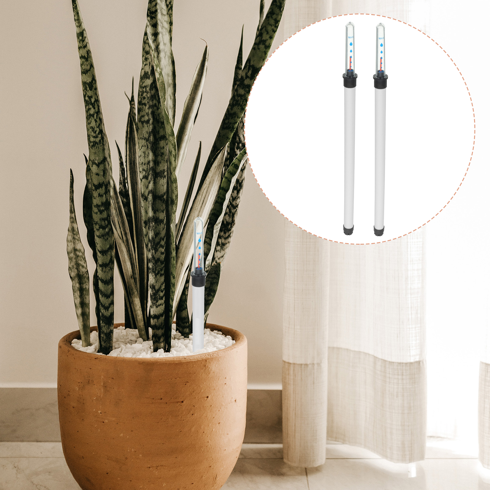 2pcs Plants Water Level Indica - Desk Setup Plant 리뷰 및 가격