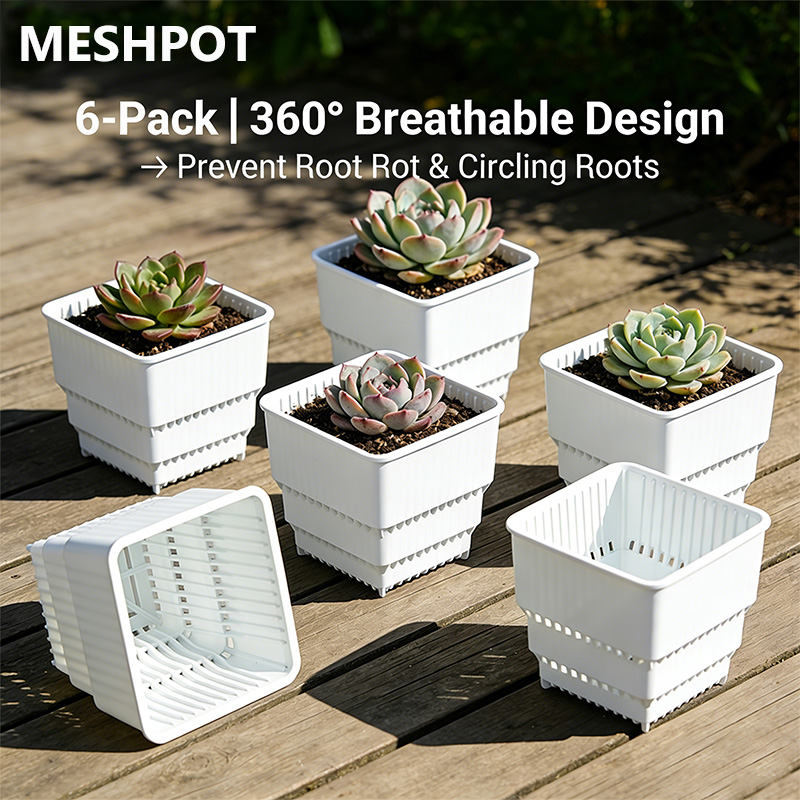 MESHPOT 6-Pack Square Pots for - Desk Setup Plant 리뷰 및 가격