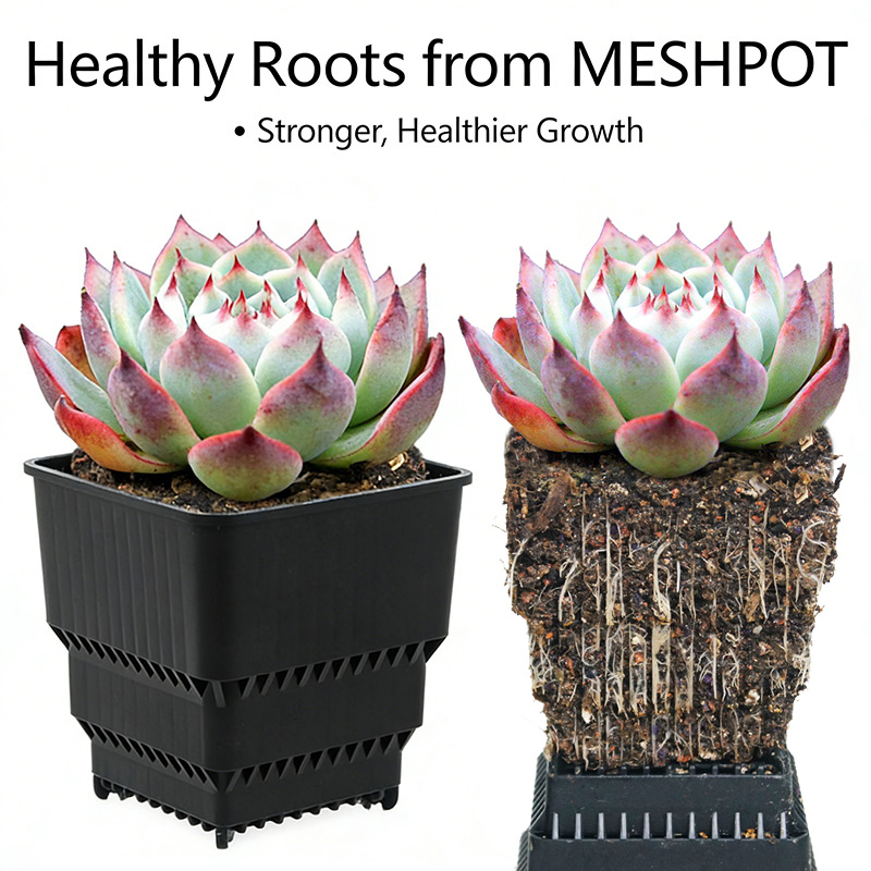 MESHPOT 6-Pack Square Pots for - Desk Setup Plant 리뷰 및 가격