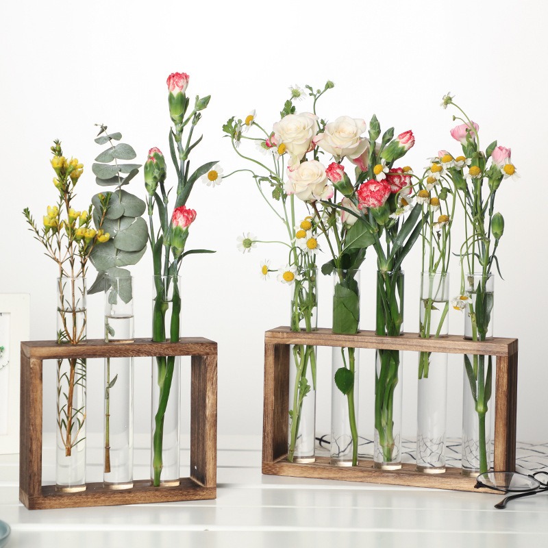 5-Tube Glass Hydroponic Plante - Desk Setup Plant 리뷰 및 가격