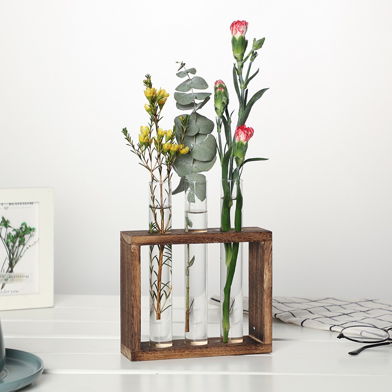 5-Tube Glass Hydroponic Plante - Desk Setup Plant 리뷰 및 가격