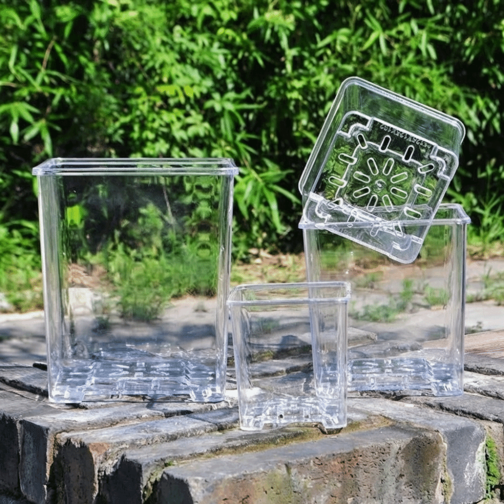 Transparent Material Acrylic P - Desk Setup Plant 리뷰 및 가격