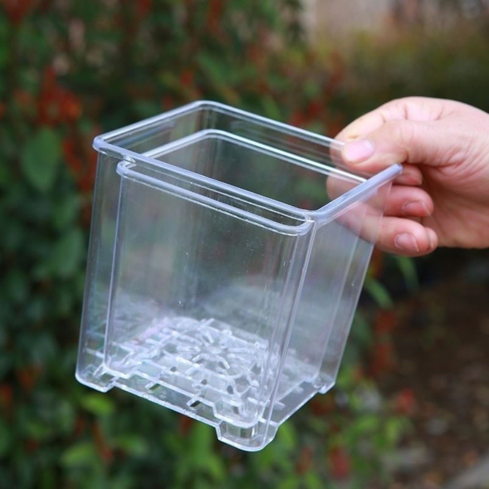 Transparent Material Acrylic P - Desk Setup Plant 리뷰 및 가격
